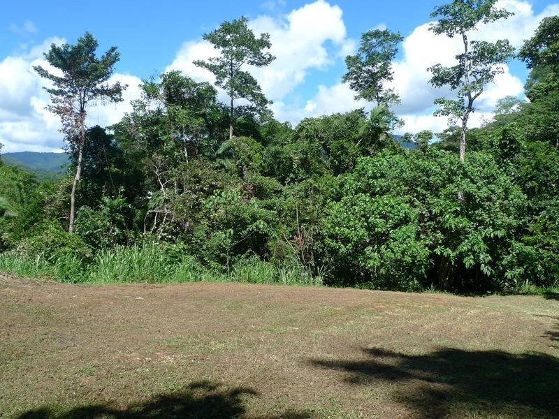 Lot 6 Planchonella Close, Edge Hill QLD 4870