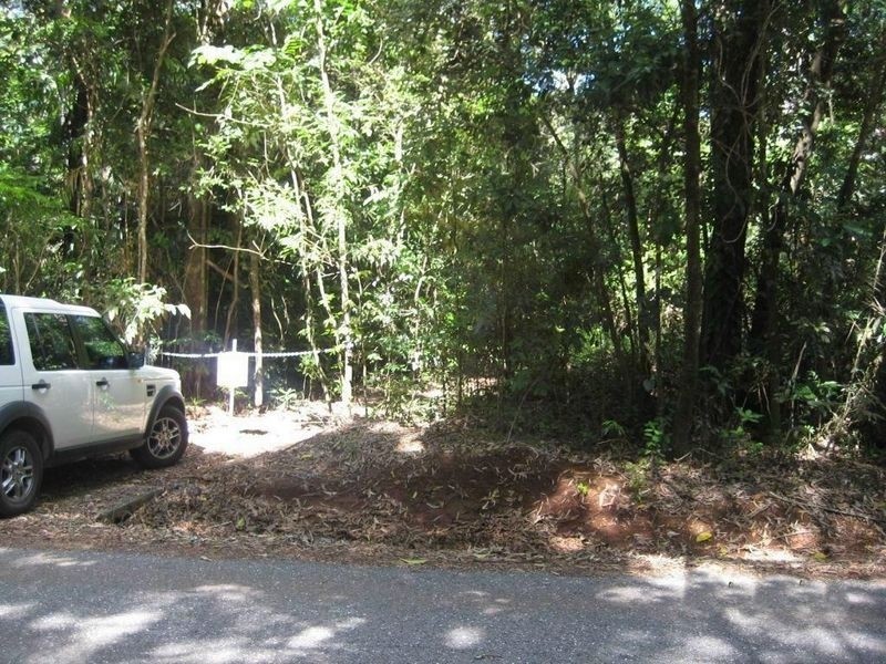 Lot 137 Buchanan Creek Road, Cow Bay QLD 4873