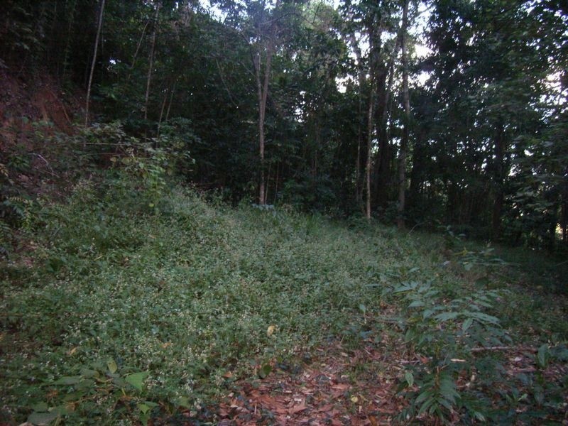 20 Knott Court, Whitfield QLD 4870