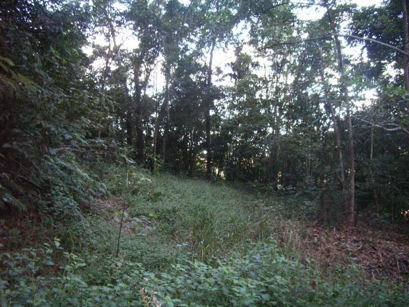 20 Knott Court, Whitfield QLD 4870