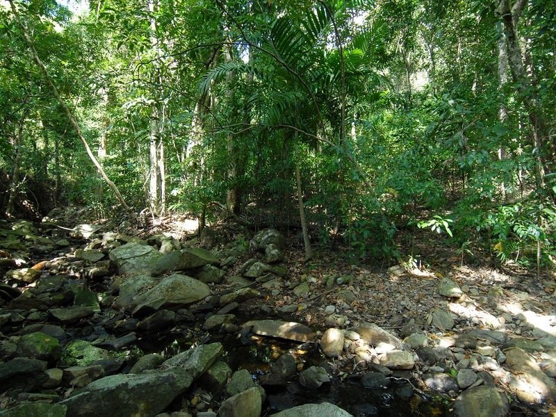 8 Kurrajong Street, Earlville QLD 4870