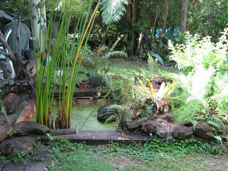 74 Evans Road, Bramston Beach QLD 4871