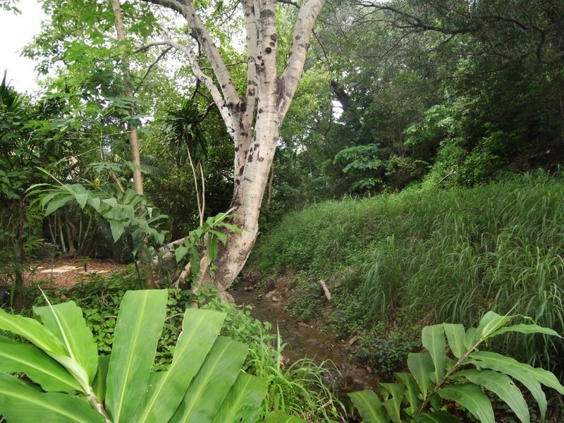 12/11 Stratford Parade, Stratford QLD 4870