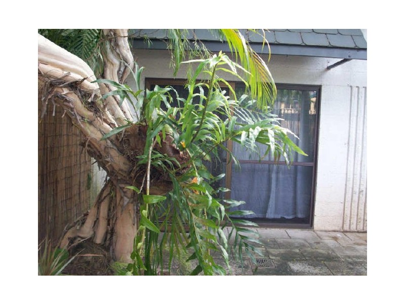 9/323 McLeod Street, Cairns North QLD 4870