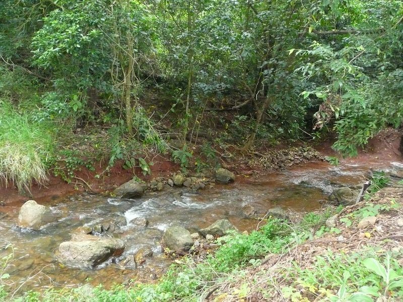 6 Red Peak Boulevard – Red Peak Estate, Caravonica QLD 4878