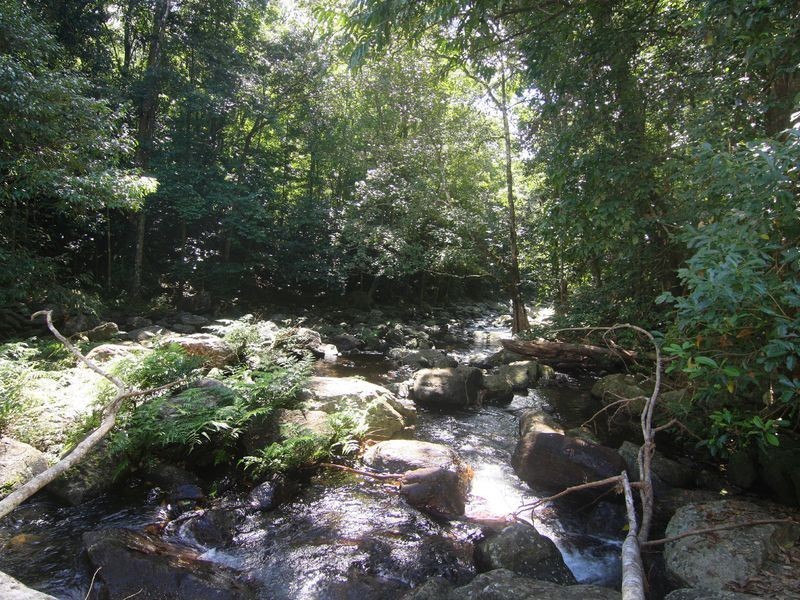 16/7 Stoney Creek Road, Kamerunga QLD 4870