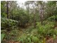 64 Hickey Close, Gordonvale QLD 4865
