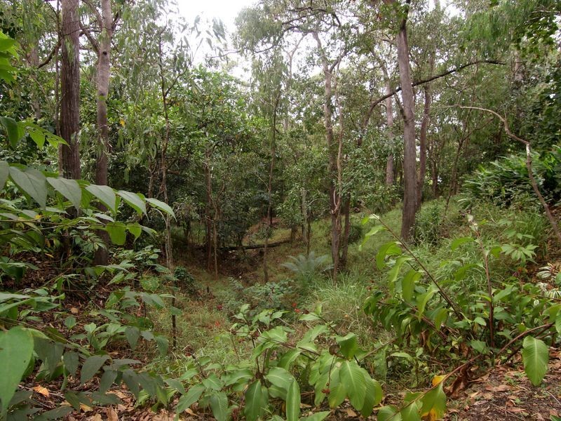 64 Hickey Close, Gordonvale QLD 4865