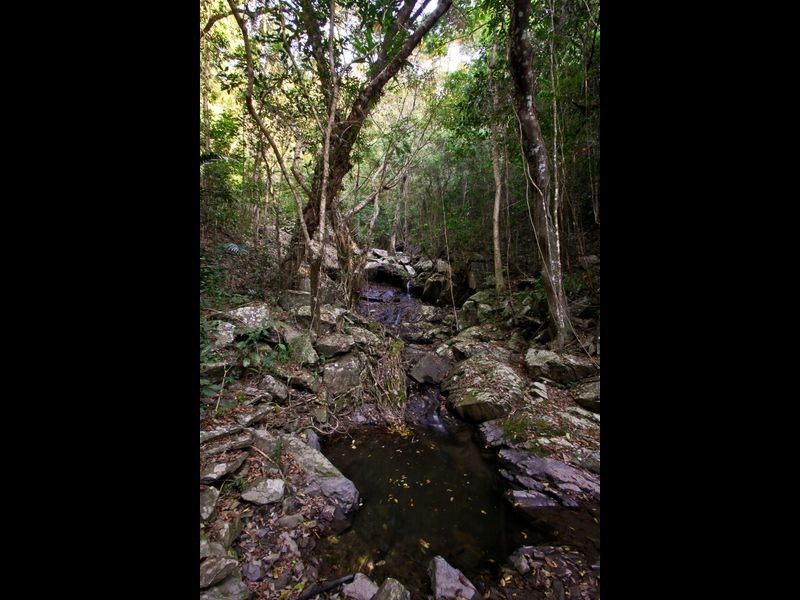 2 Cochrane Street, Stratford QLD 4870