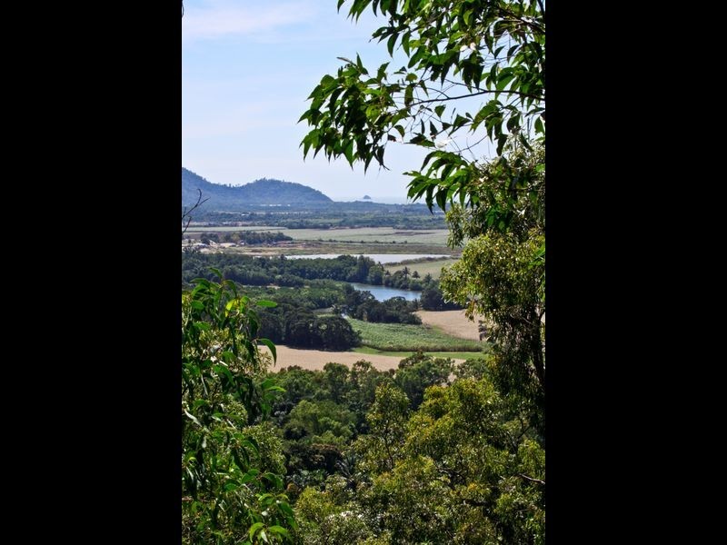 2 Cochrane Street, Stratford QLD 4870