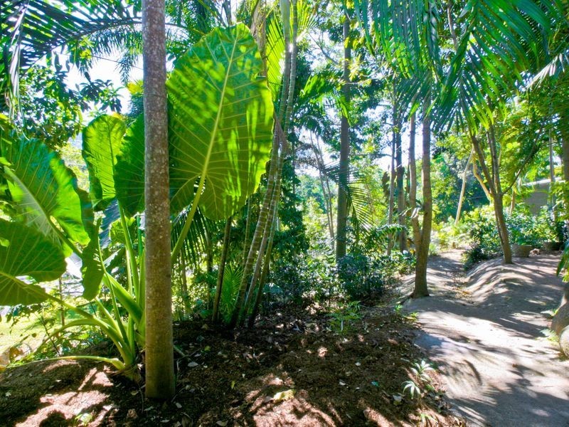 1 Panoramic Place, Whitfield QLD 4870