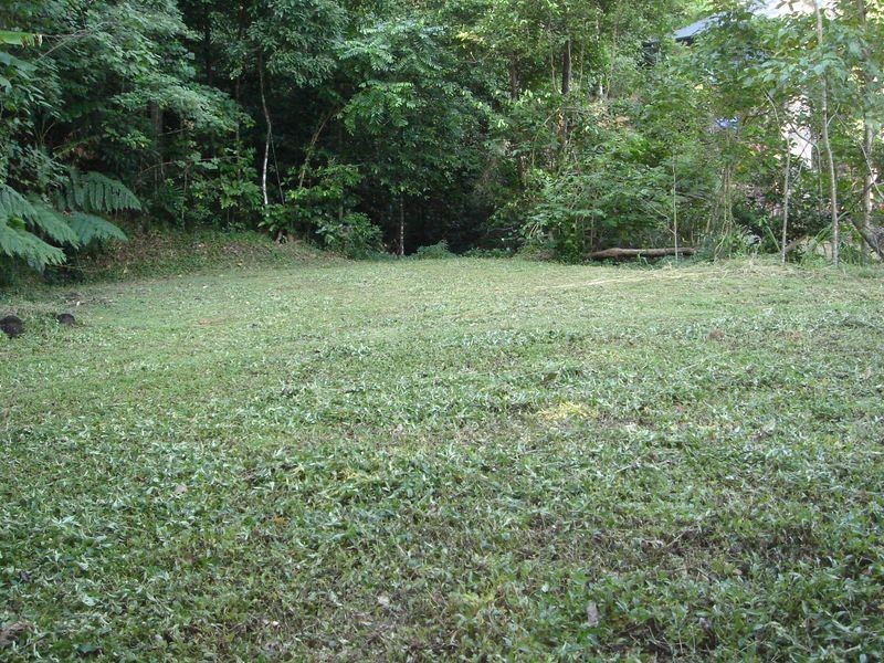 8 Planchonella Close, Edge Hill QLD 4870