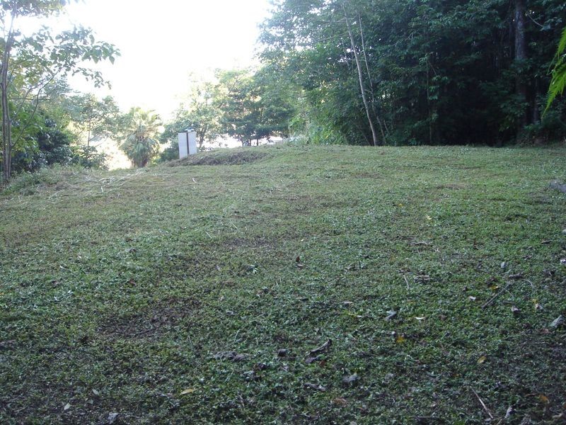 8 Planchonella Close, Edge Hill QLD 4870