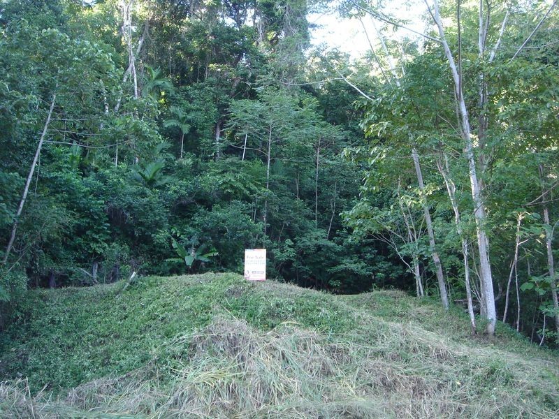 8 Planchonella Close, Edge Hill QLD 4870