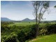 24 Behan Street, Stratford QLD 4870