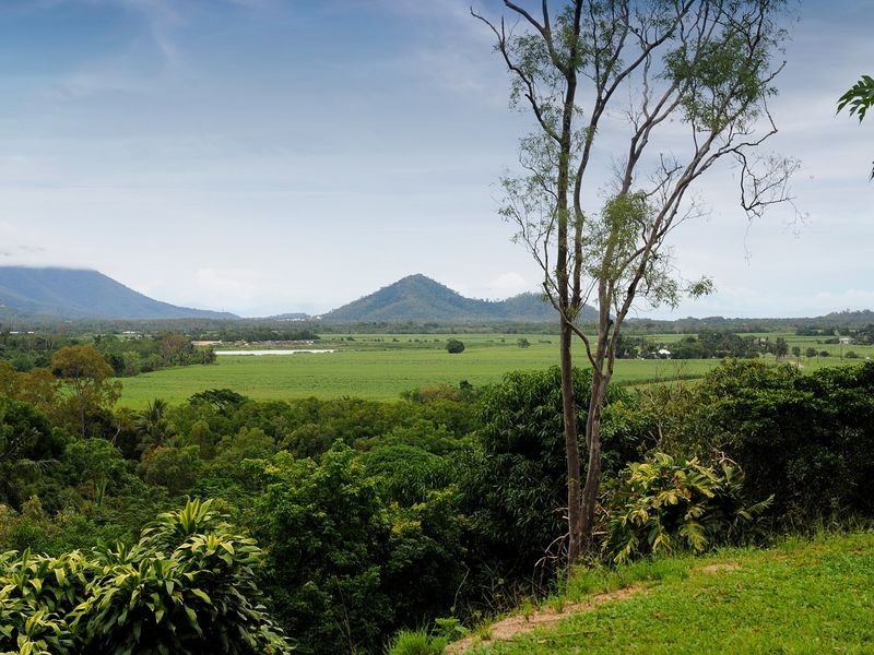 24 Behan Street, Stratford QLD 4870