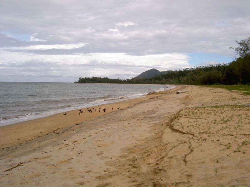 42 Evans Road, Bramston Beach QLD 4871