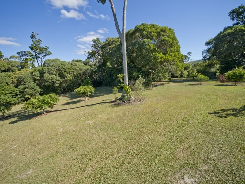 77 Kelly Road, Kuranda QLD 4881