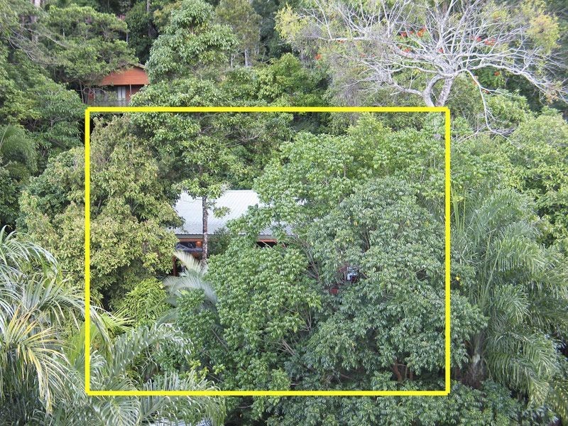 17 Jagera Close, Kamerunga QLD 4870