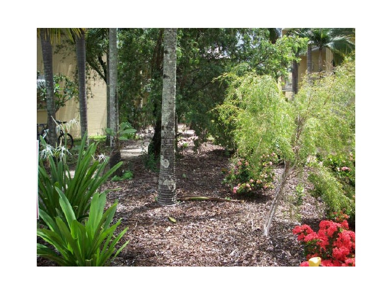 19/201 Aumuller Street, Westcourt QLD 4870