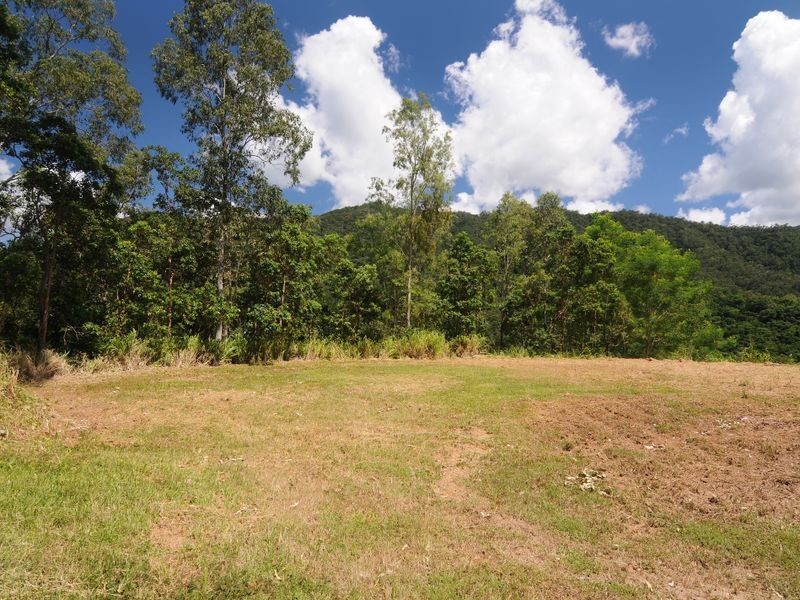 281 Burbridge Close, Redlynch QLD 4870