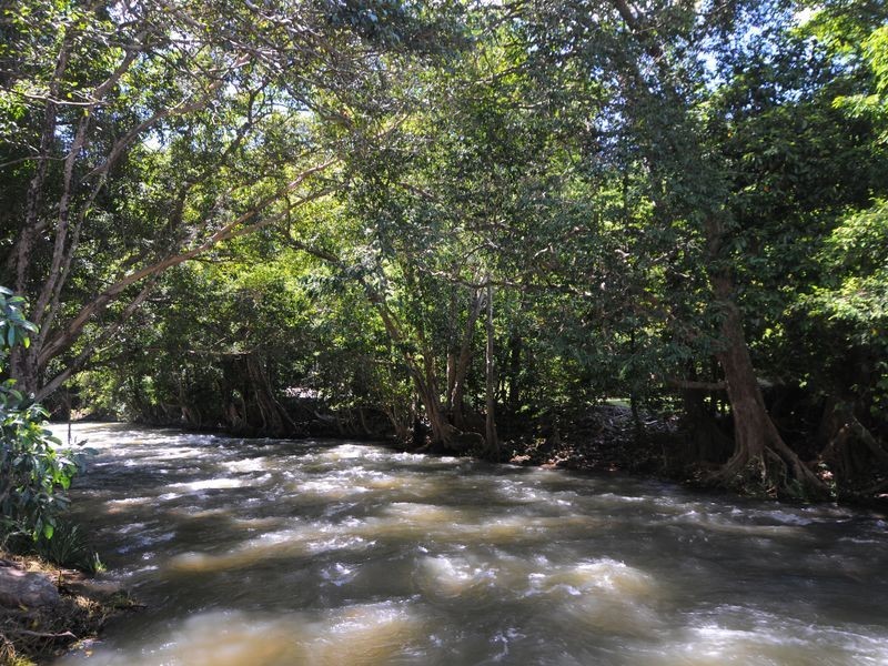 281 Burbridge Close, Redlynch QLD 4870