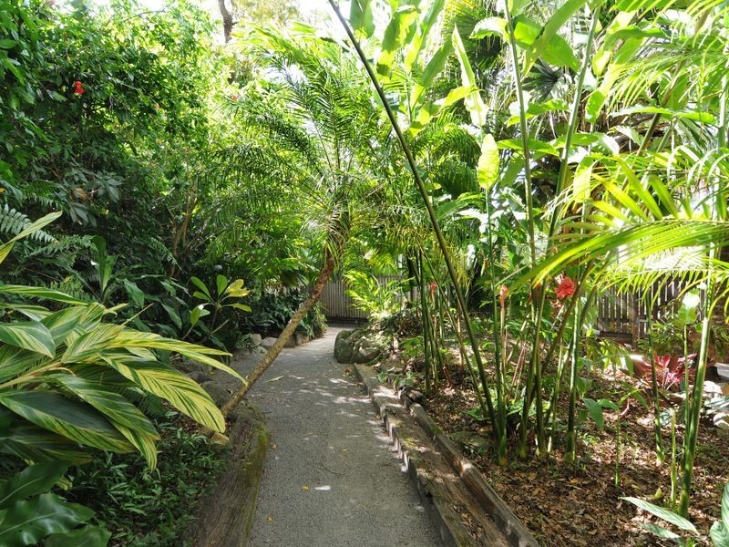 21 McHugh Crescent, Whitfield QLD 4870