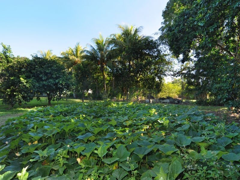 71663 Bruce Highway, Centenary Heights QLD 4869