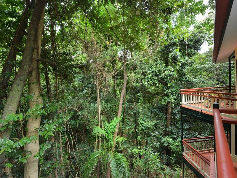 6 Jagera Close, Kamerunga QLD 4870