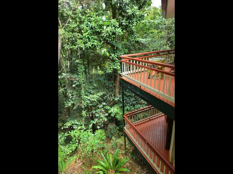 6 Jagera Close, Kamerunga QLD 4870