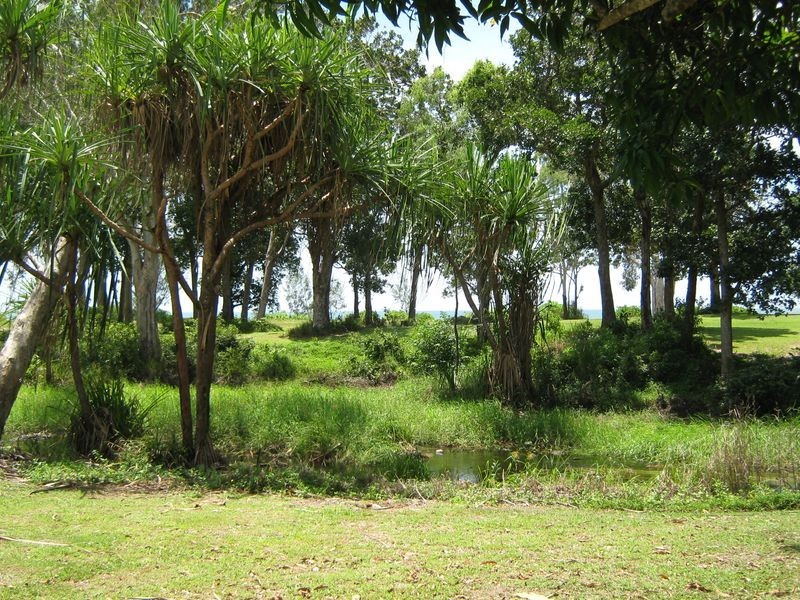 22 Paperbark Street, Bramston Beach QLD 4871