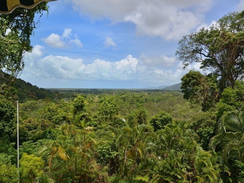 10 Cyathea Close, Kamerunga QLD 4870