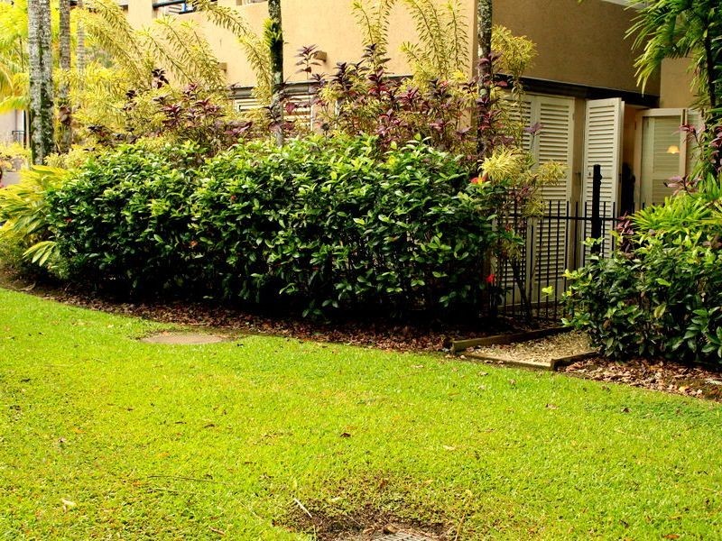 501/2 Greenslopes Street, Cairns North QLD 4870