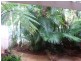 Freshwater QLD 4870