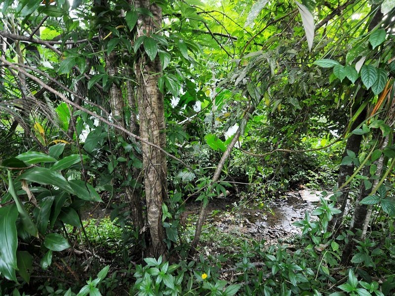 179A Jensen Street, Whitfield QLD 4870