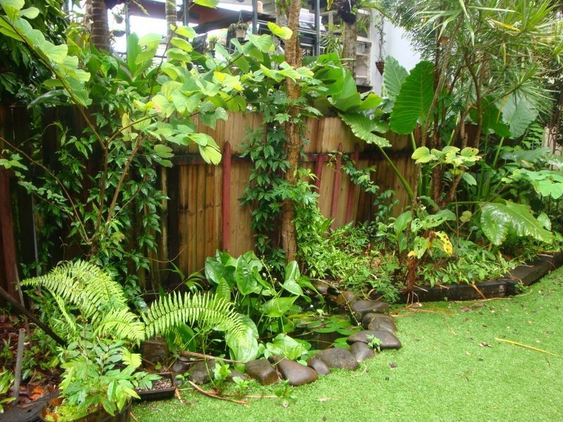 Cairns North QLD 4870