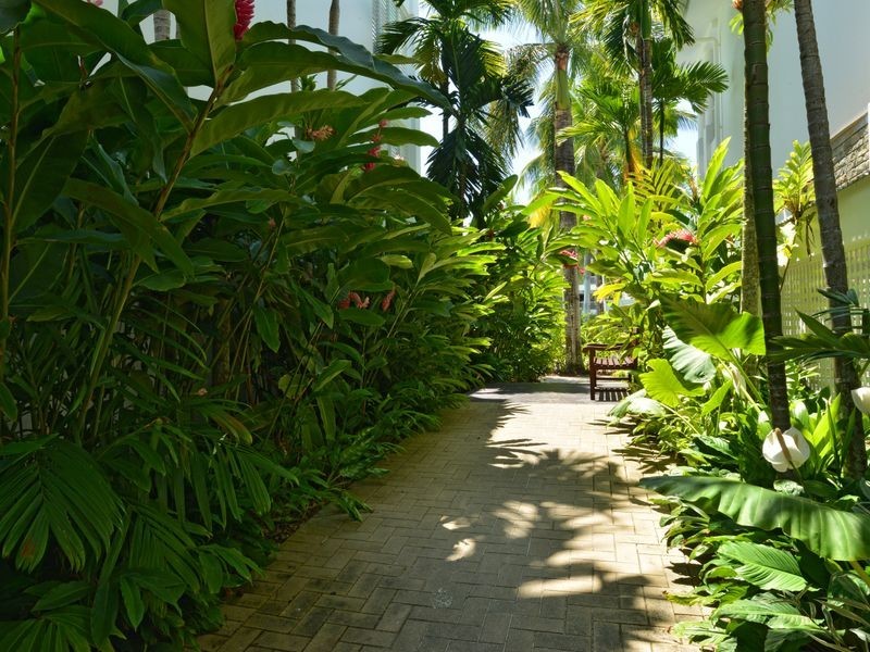 3133/34 Williams Esplanade, Palm Cove QLD 4879