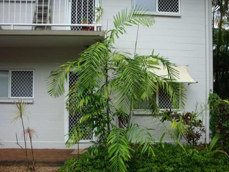 8/9-11 Behan Street, Manunda QLD 4870