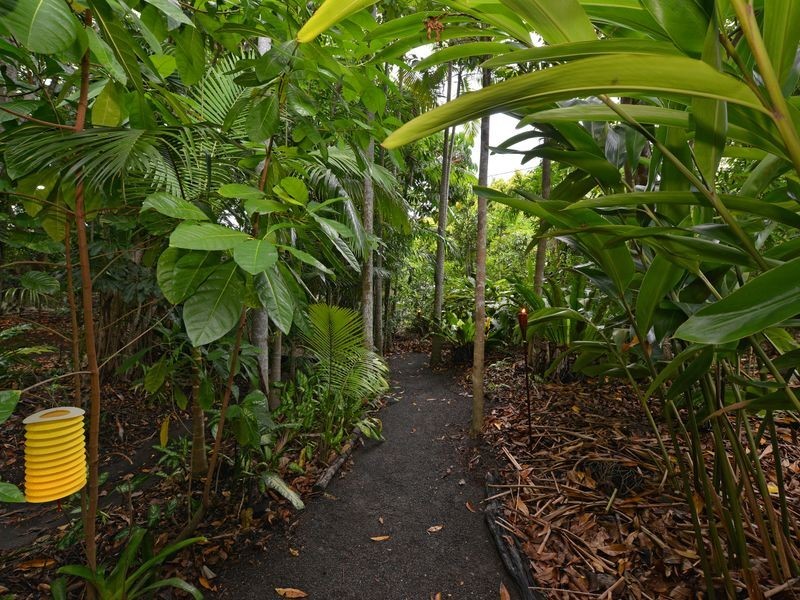 31-33 David Street, Machans Beach QLD 4878