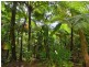 220 Ellis Road, Bellenden Ker QLD 4871