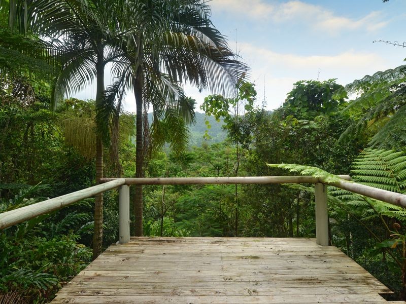 220 Ellis Road, Bellenden Ker QLD 4871