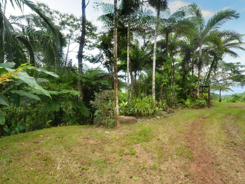 220 Ellis Road, Bellenden Ker QLD 4871
