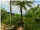 220 Ellis Road, Bellenden Ker QLD 4871