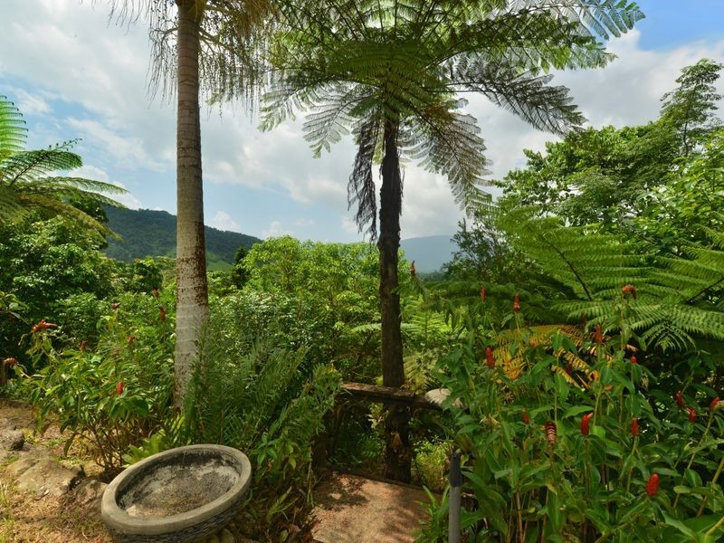 220 Ellis Road, Bellenden Ker QLD 4871
