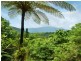 220 Ellis Road, Bellenden Ker QLD 4871