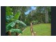 20 Chapel Close, Brinsmead QLD 4870
