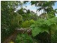 26 Kuranda Crescent, Kuranda QLD 4881