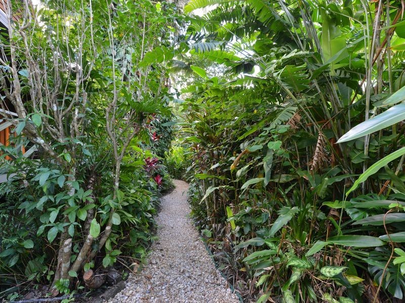 26 Kuranda Crescent, Kuranda QLD 4881