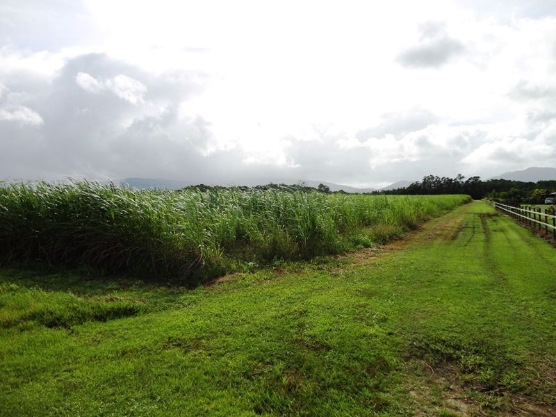 Lot 139 Hill Road, Edmonton QLD 4869