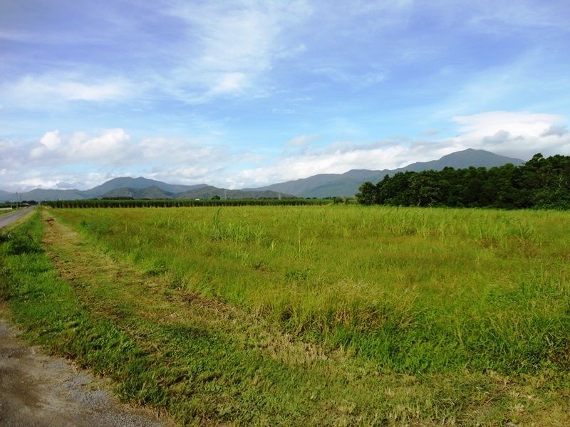Lot 139 Hill Road, Edmonton QLD 4869